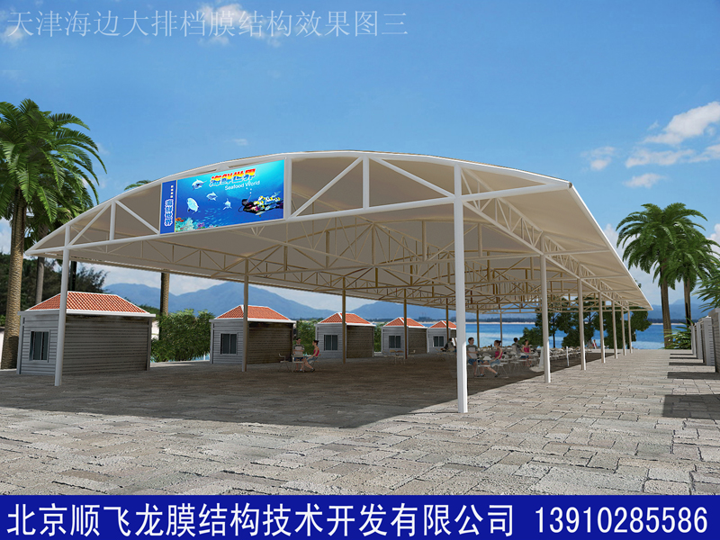 http://zywb16.cn